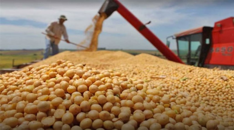 Venezuela impulsa producción de soya con agenda científica nacional